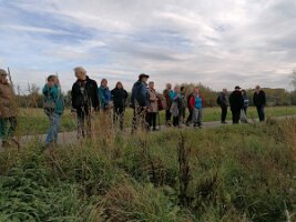 Gouwwandeling 10-2025