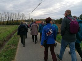 Gouwwandeling 11-2025