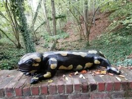 Gouwwandeling 20-2025