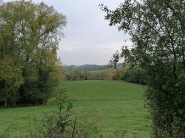 Gouwwandeling 21-2025