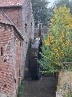 Gouwwandeling 45-2025