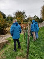 Gouwwandeling 53-2025